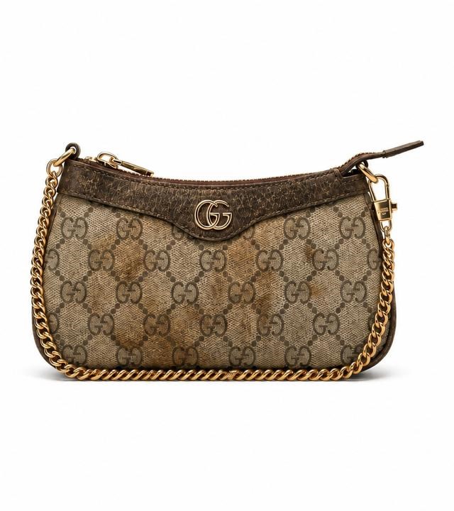 Designer bag before